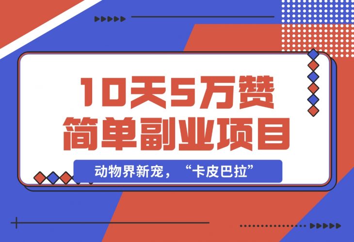 【2024.12.01】动物界新宠，“卡皮巴拉”是什么东西，10天5万赞，萌翻一片，管道收益，简单副业项目-小鱼项目网